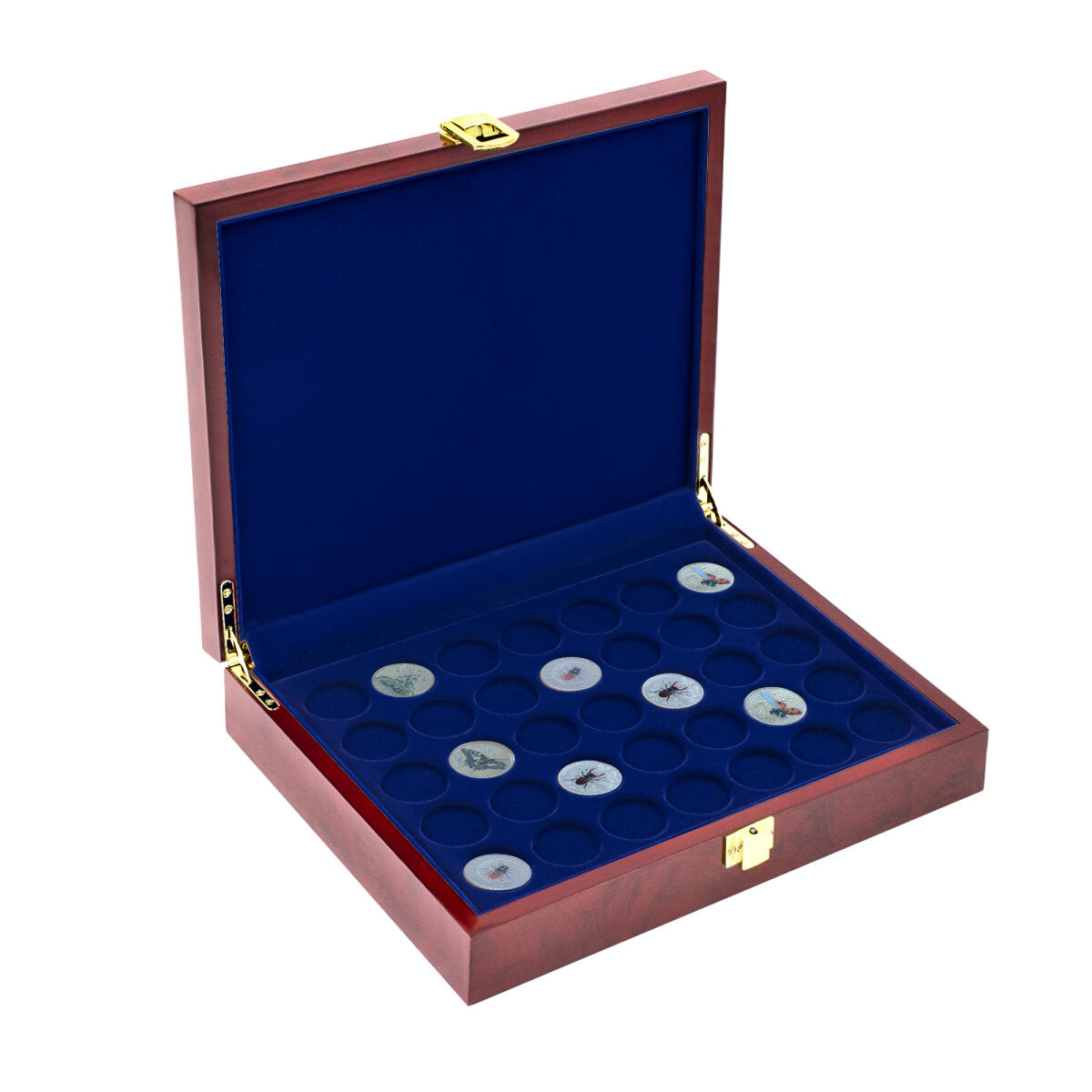 Coffret à pièces en bois laqué Premium : n° 5790 5€ Insectes, Planète Terre