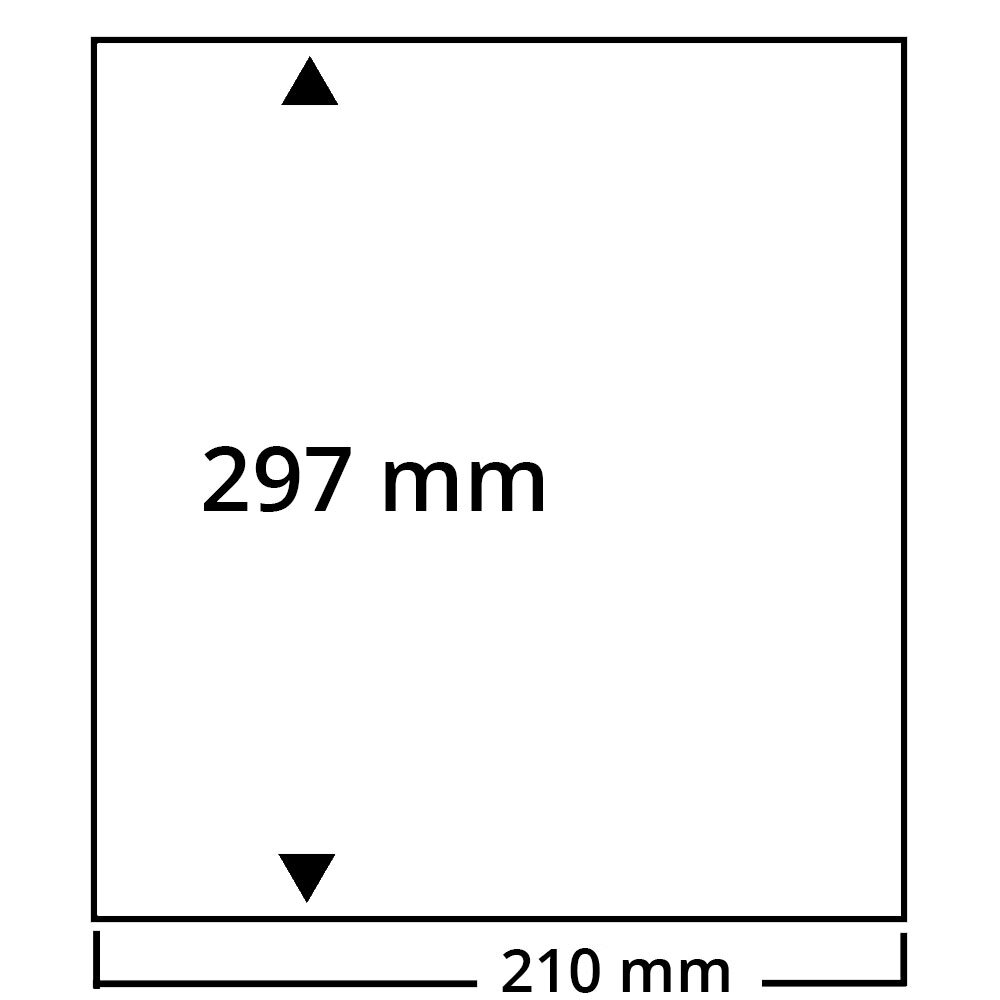 Feuilles de remplacement n° 447