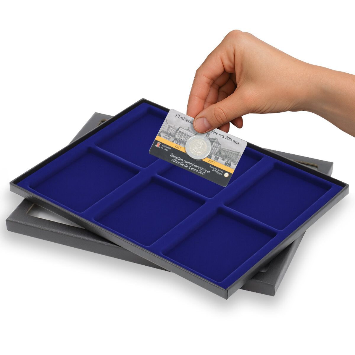 COIN Box n° 8343, 6 compartiments de 85 x 63 mm, pour slabs et coin cards