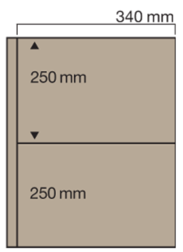 Feuilles couleur sable n° 6052 pour album Jumbo
