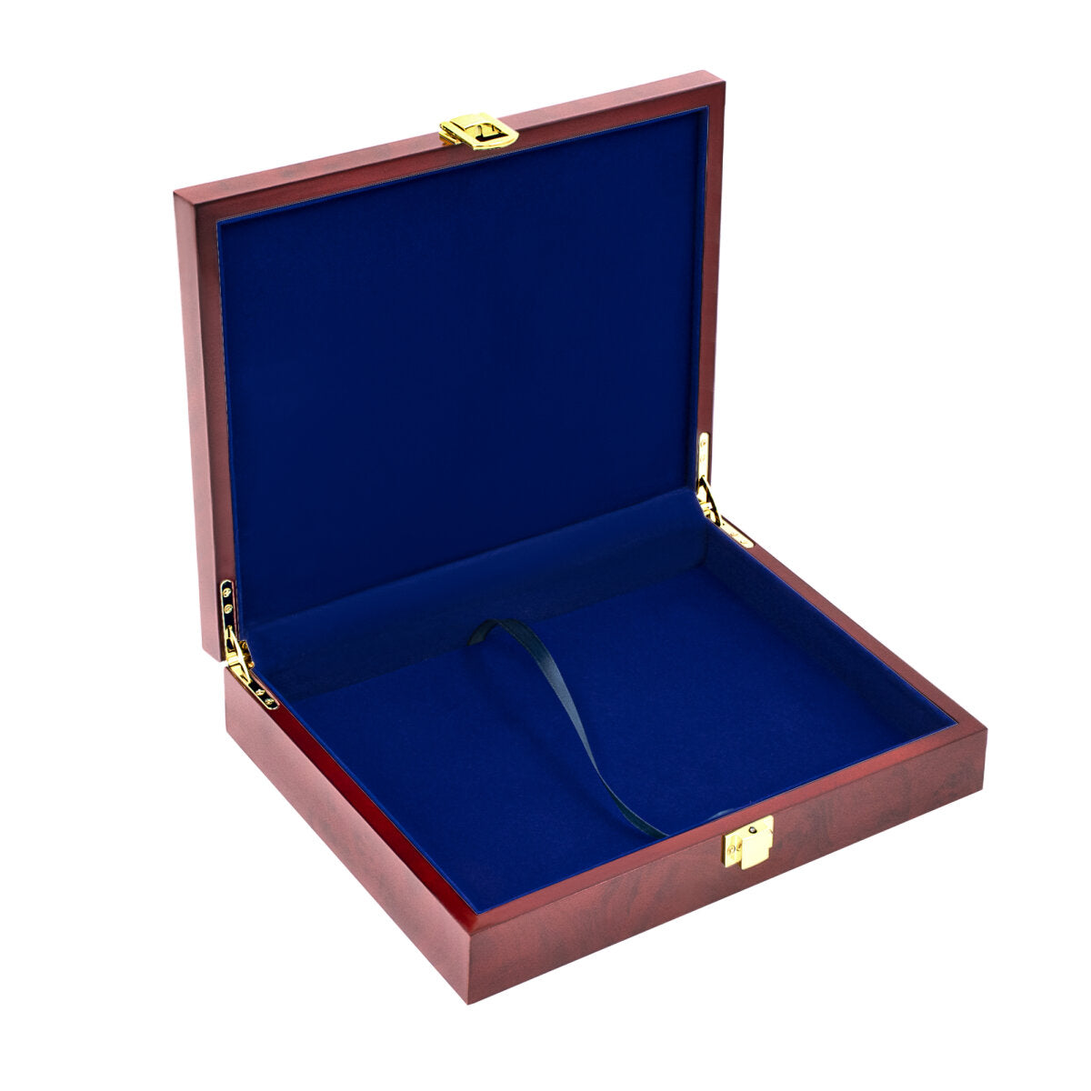 Coffret à pièces en bois laqué Premium : n° 5790 5€ Insectes, Planète Terre