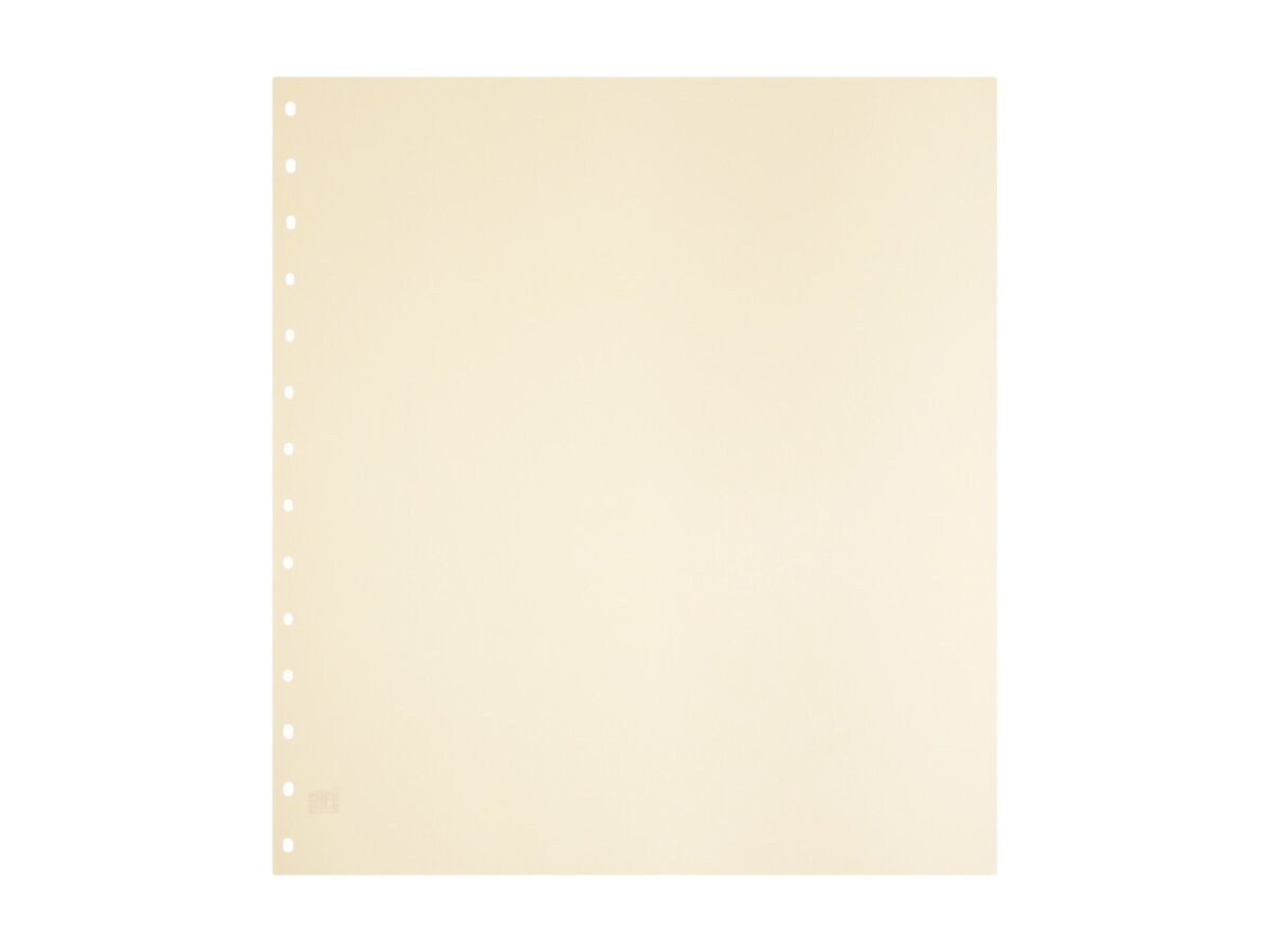 Feuilles blanches en carton n° 782 par 10