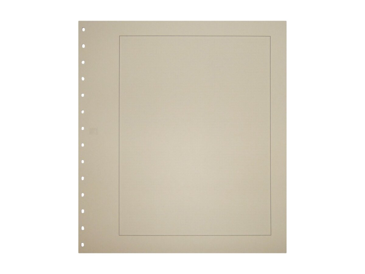 Feuilles blanches en carton n° 681
